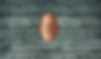 cover2.jpg