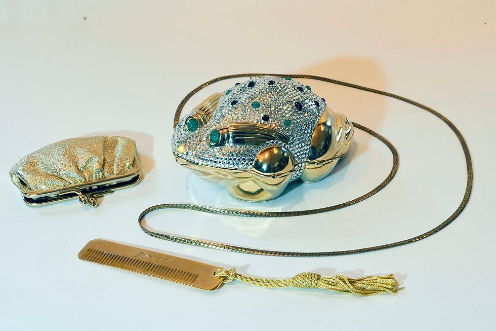 FROG DESIGN PURSE