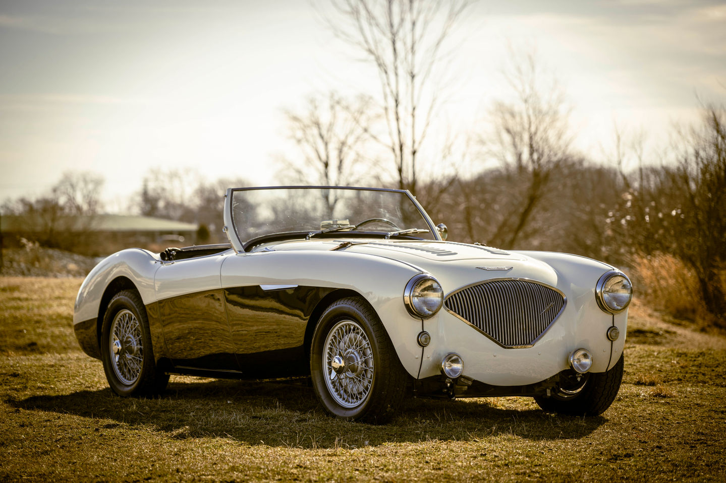 1956 Austin Healey 100M