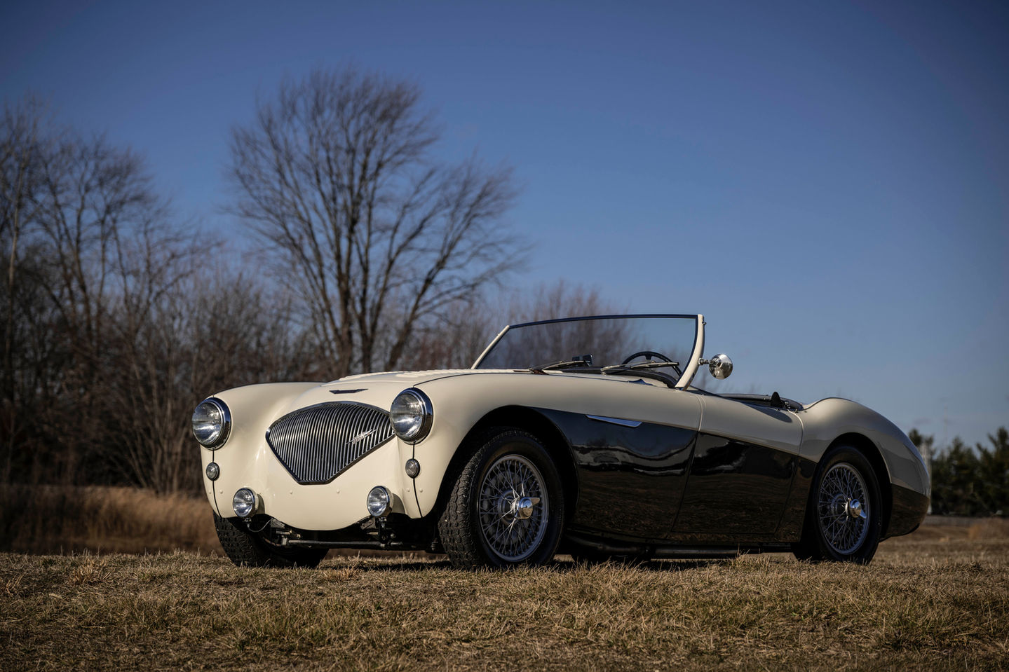 1956 Austin Healey 100M