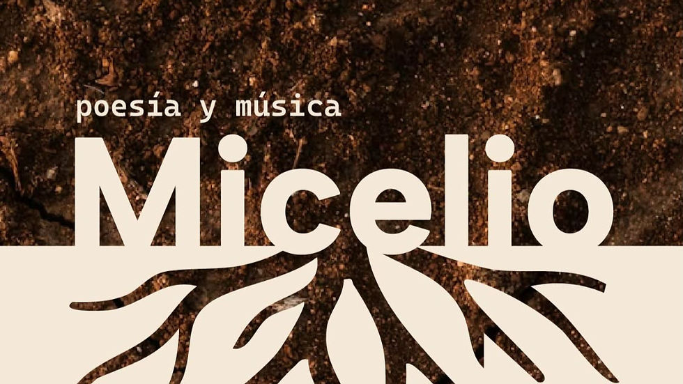 Micelio