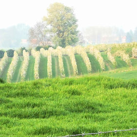 Een frisse blik voor elke nieuwe dag