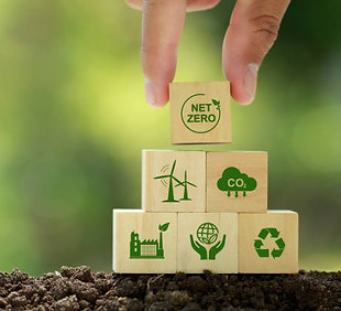 istockphoto-1389525164-612x612.jpg