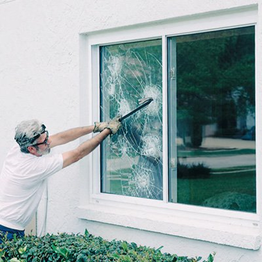 Insulfilm de Proteção