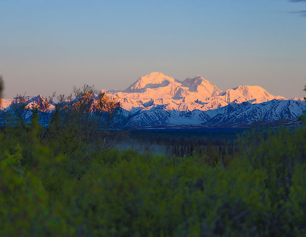 Denali Photo Final Edit.jpg