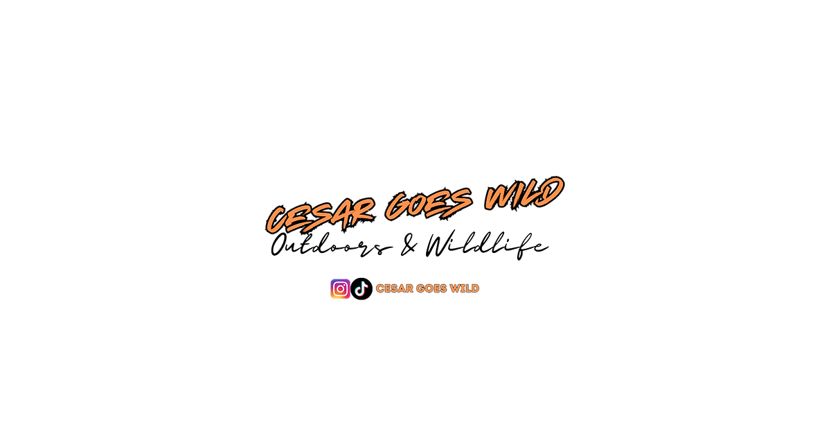 cesar goes wild logo.png
