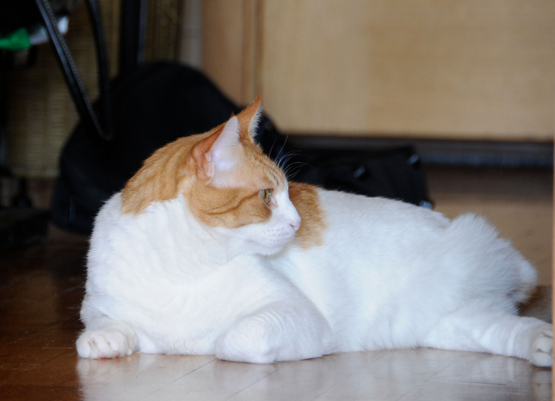 DSC_1764_crop