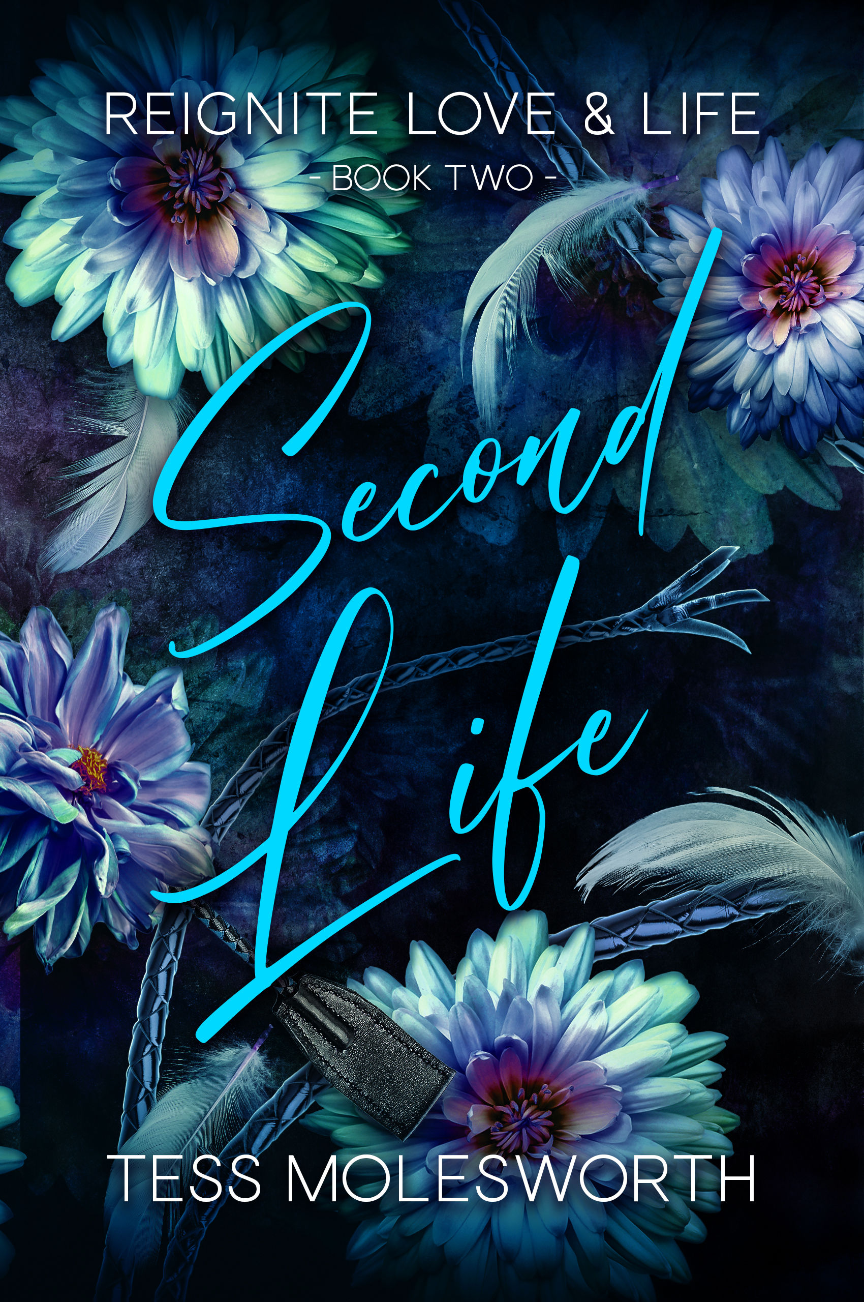 Second Life by Tess Molesworth (Reignite Love and Life - Book 2)