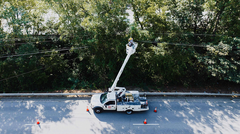 Overhead power lines worker on a tree-lined roadside, showcasing essential field service