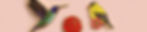 Banner copy-09.jpg