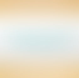 2020 Election Results Review