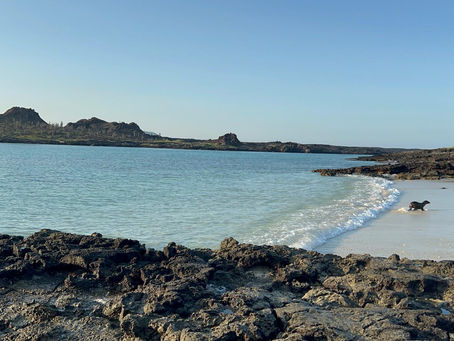 On Continuity and Collective Awareness