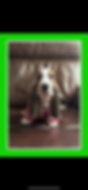 IMG_5808.png