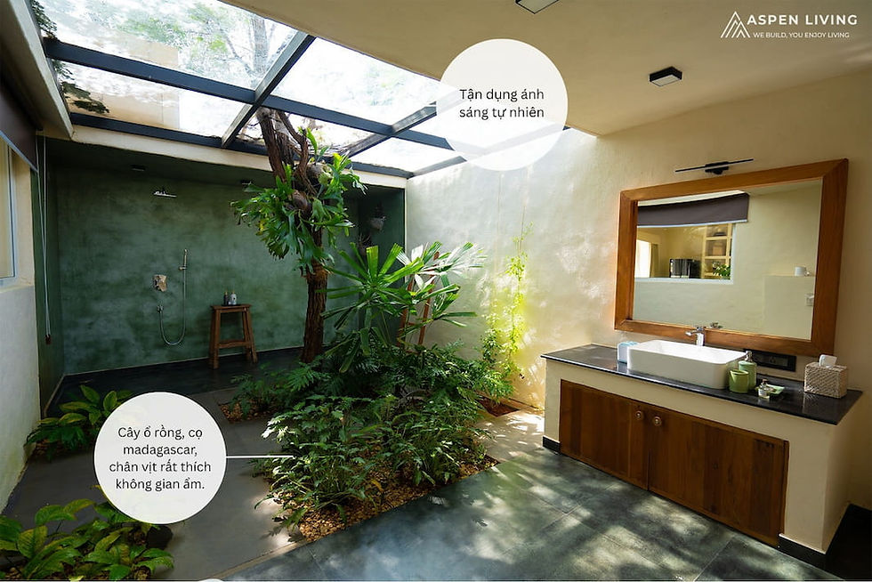 Đưa thiên nhiên vào không gian  nhà tắm Biophilic Design 