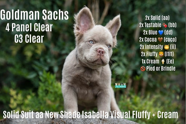 Goldman Sachs pic with DNA listed