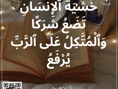 أمثال ٢٥:٢٩