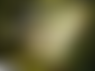 اَلسَّاكِنُ فِي سِتْرِ الْعَلِيِّ، فِي ظِلِّ الْقَدِيرِ يَبِيتُ. مزمور 1:91