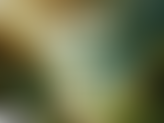 تُعَرِّفُنِي سَبِيلَ الْحَيَاةِ. مزمور 11:16