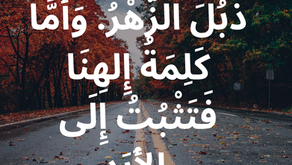 يَبِسَ الْعُشْبُ، ذَبُلَ الزَّهْرُ. وَأَمَّا كَلِمَةُ إِلهِنَا فَتَثْبُتُ إِلَى الأَبَدِ. سفر إشعياء ٤٠: ٨
