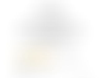 Ausbilder Nestenferner Asiatische Hornisse Zertifikat