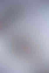 Hochzeitsfotograf Wien, Cobenzl