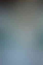 Hochzeitsfotograf Wien, Cobenzl