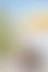 Hochzeitsfotograf Wien, Cobenzl