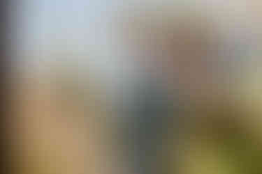 Hochzeitsfotograf Wien, Cobenzl