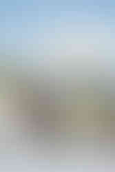 Hochzeitsfpaar Fotos, Wien, Cobenzl