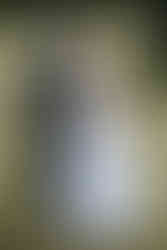 Hochzeitsfotograf Schloss Rohrau 001