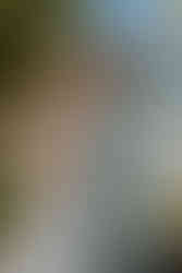 Hochzeitsfotograf Wien, Cobenzl