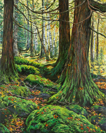 Beautiful forest scene in northern Michigan