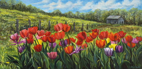 tulips in a field with a barn in the background