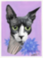 A portrait of a sphinx cat on a pale purple background, with blue flowers. 
