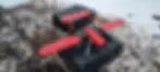 ree