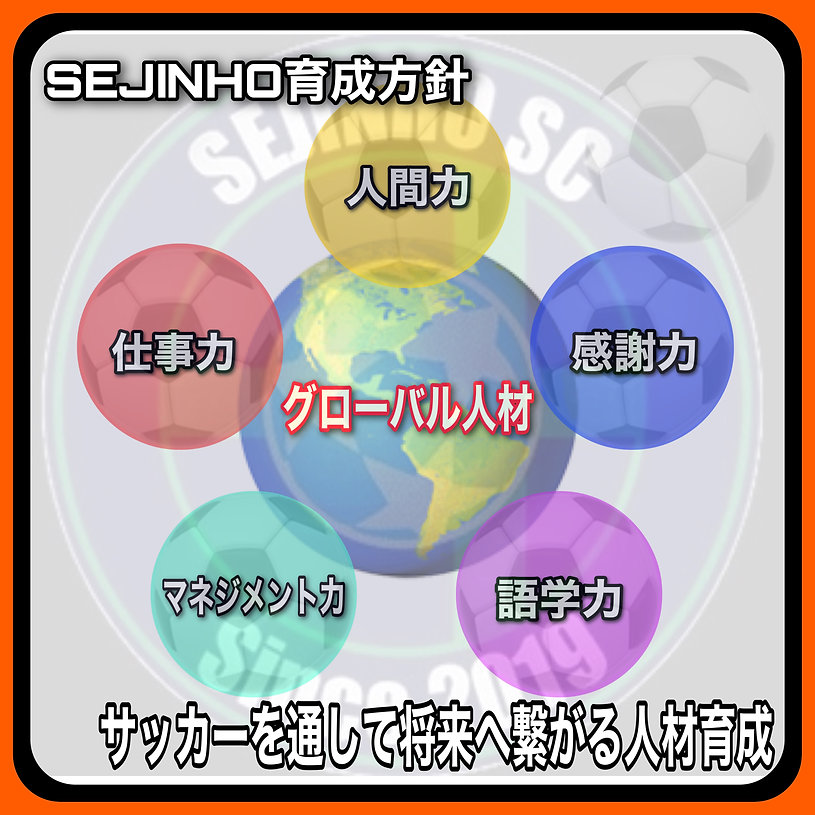 セジニョ