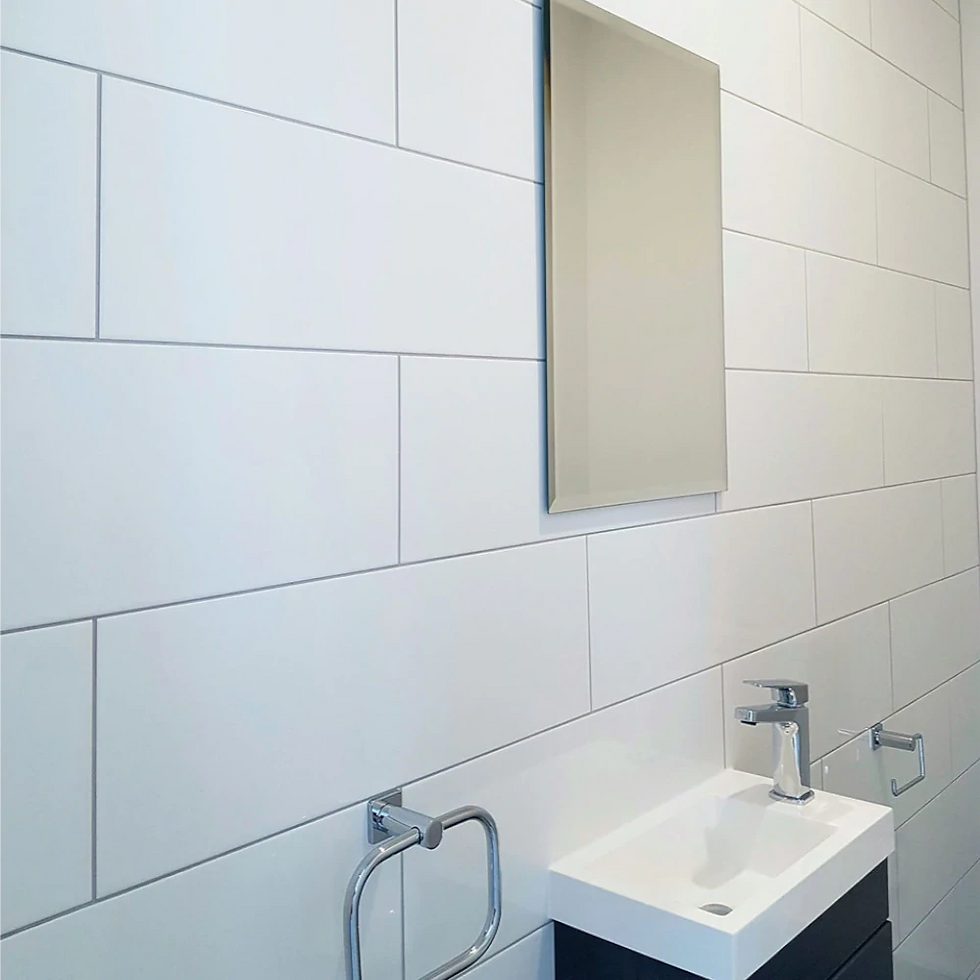 Glans wit Vloer/wandtegels in de WC