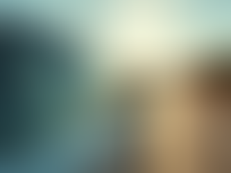 Enhance Your Vehicle with Professional Window Tinting