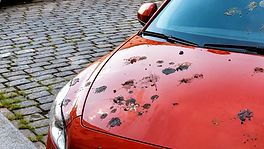 IMG_69BCC6E1-F2FC-4FBB-A70F-B6957F9B1C7B.JPEG