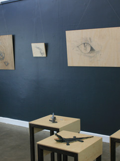IMG_6186.jpeg