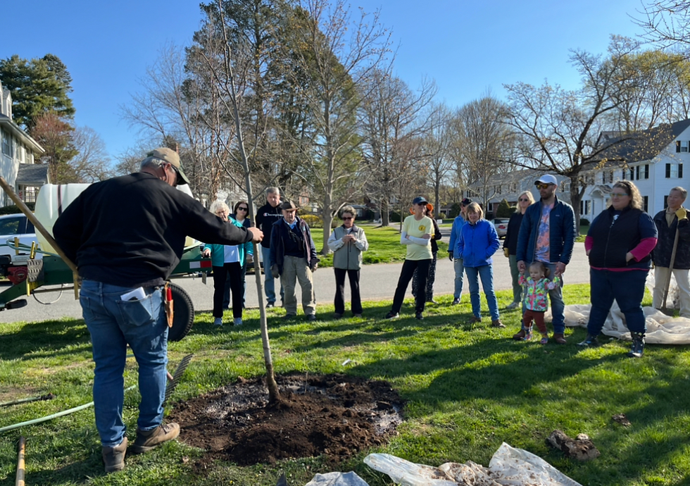 Screenshot 2024-05-27 at 12.52.07 PM