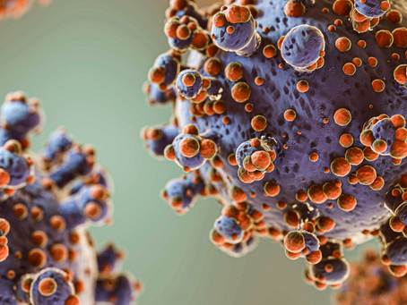 What Do We Know About Hantavirus
