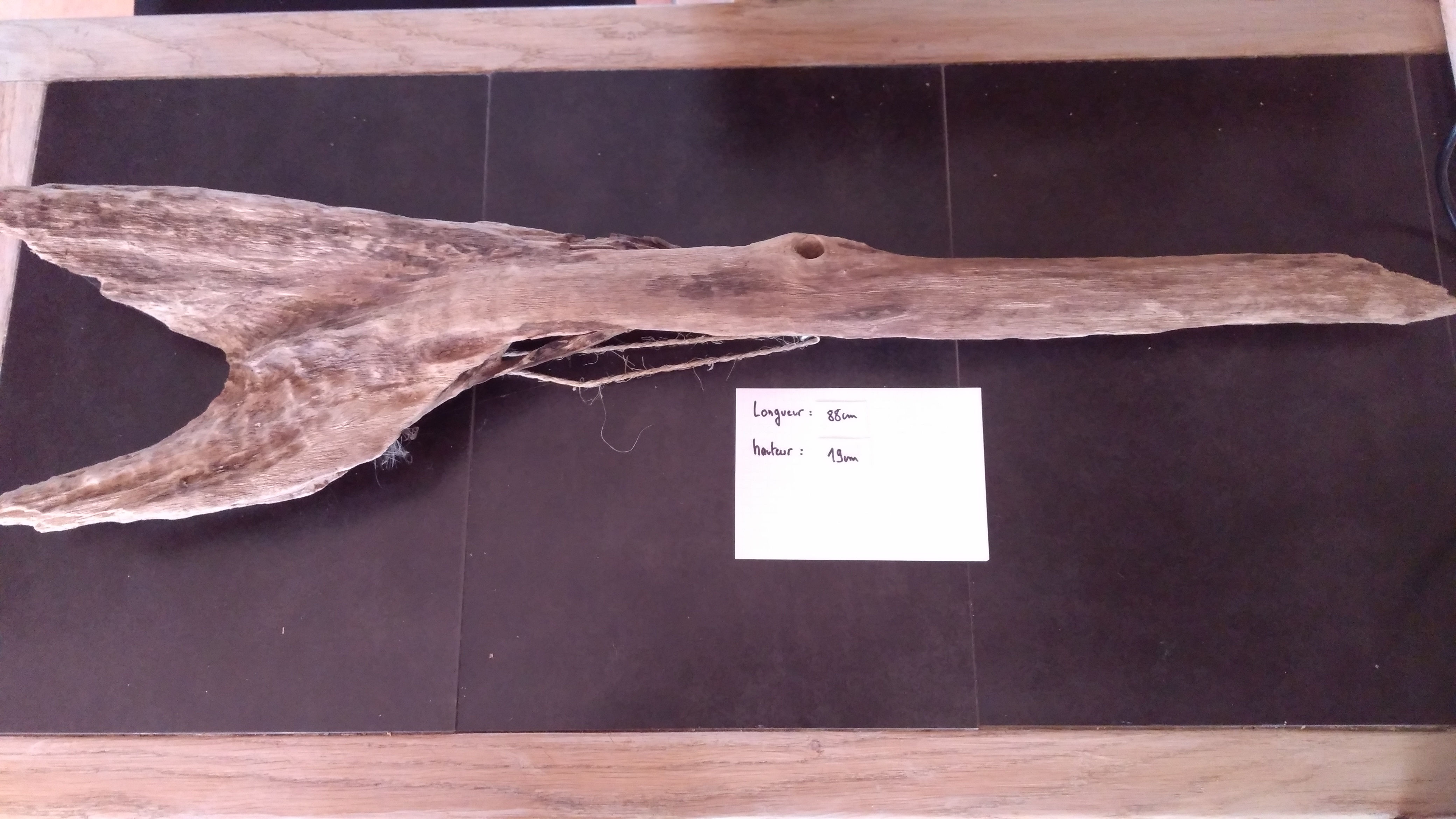 Poisson 2 - 85x19cm (ref: AM21)