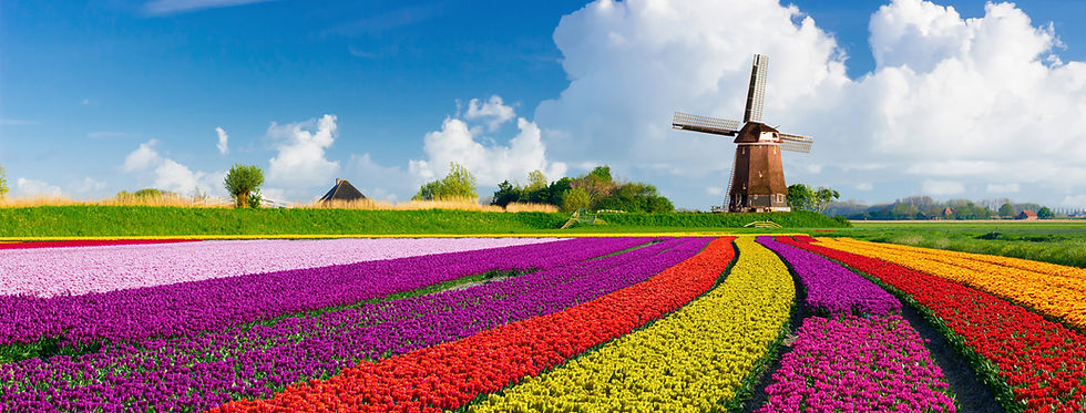 Thumbnail: Coach & Cruise: HOLLAND & BELGIUM Adults Only Long Weekend Cruise - August 2026