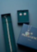 Indulgence Necklace Earrings Bracelet.jpg