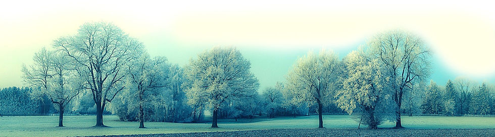 newsletter-bg.jpg