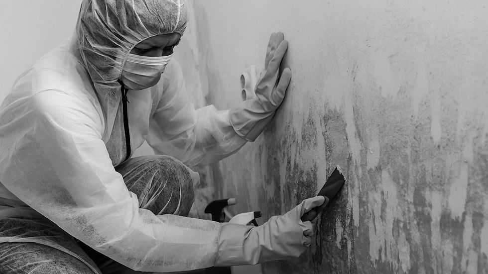 removing_mold-1220185937