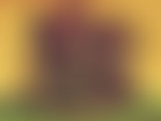 How to buy a zombie house.