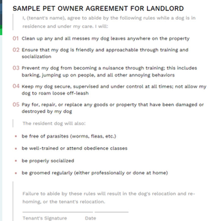 A split-screen photograph showcasing (left side) a person holding pet documentation papers showing "PET DOCUMENTATION" and "VACCINATIONS" and a dog beside them, and (right side) a tabby cat in a carrier with a hand filling out paperwork, emphasizing preparation for pet documentation in housing.