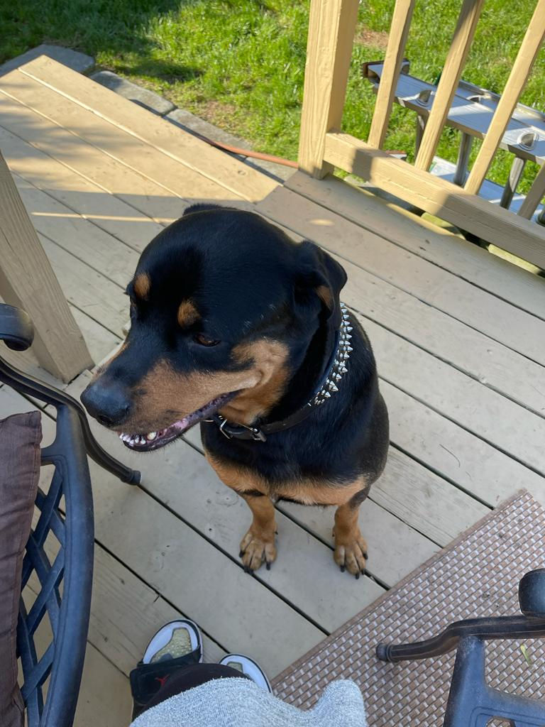 669d6be3-a730-4714-a93e-43c532fb9b0d